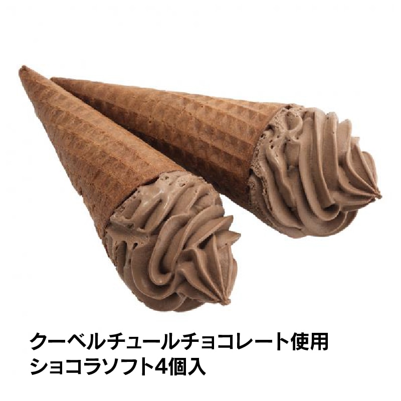 【通販】チョコアイスバラエティセット6種45個入 ドライアイス付き (送料込み) チョコ