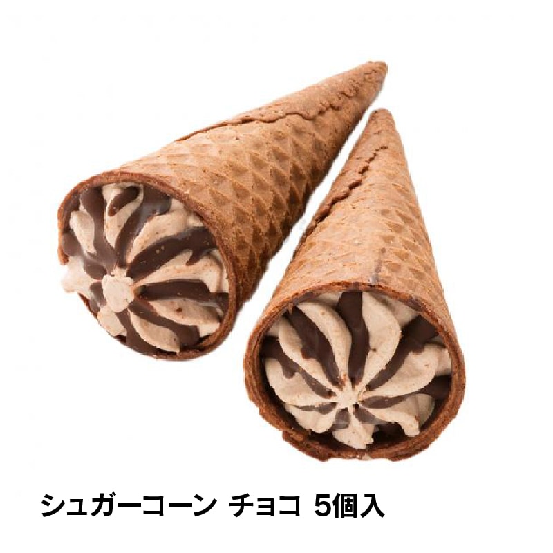 【通販】チョコアイスバラエティセット6種45個入 ドライアイス付き (送料込み) チョコ