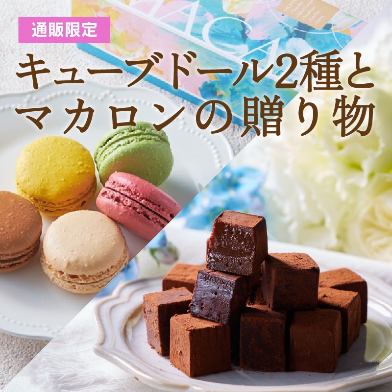 【通販】キューブドール2種とマカロンの贈り物